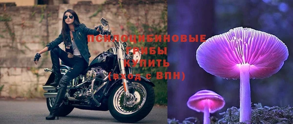 PSILOCYBIN Аркадак